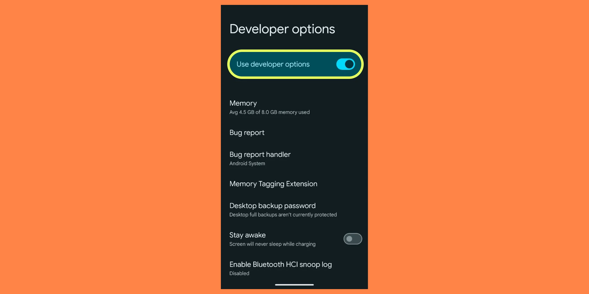 use developer options on android devices