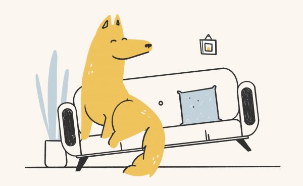 Rapid Growth Experience