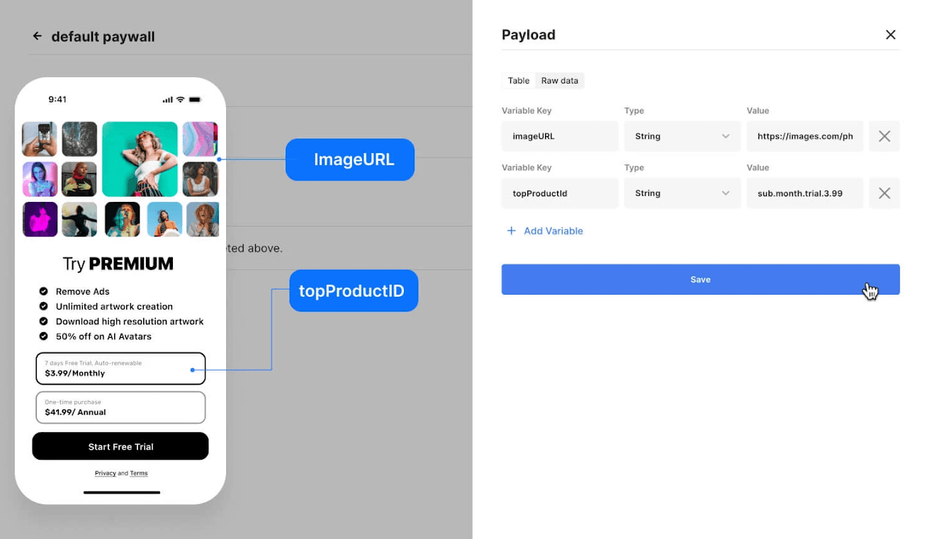 set up app paywall