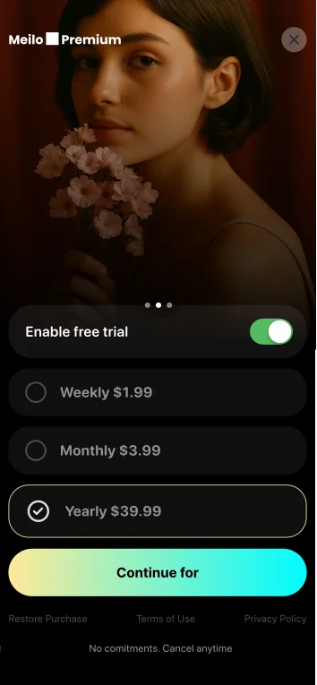 Black Friday paywall example